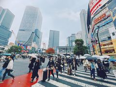 -涩谷全向十字路口