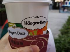 -哈根达斯(武汉天地店)