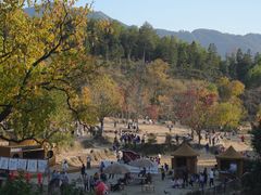 -塔川景区