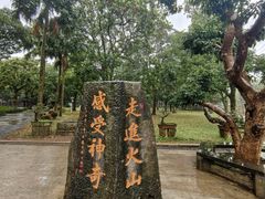 -海口火山口国家地质公园