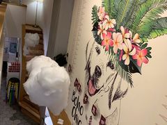 -拾光·小碗甜品