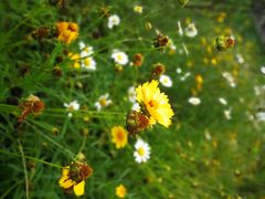 -白鹭湾湿地公园