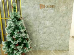 -BM SALON