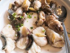 碎蒸深海大龙趸-徐记海鲜(大雁塔|金都店)