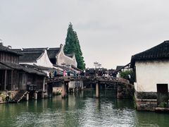 -乌镇西栅景区