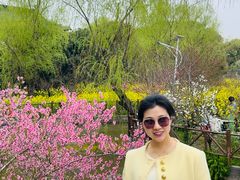 -南汇桃花村