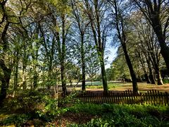 -上海共青森林公园