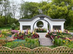 -上海共青森林公园