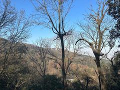 -岳麓山风景名胜区