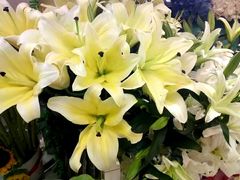 -呷哺呷哺(松江开元店)