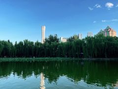 -团结湖公园