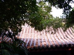-成都市文化公园