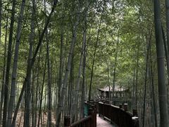 -陶祖圣境风景区