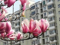 -上海浦东展览馆