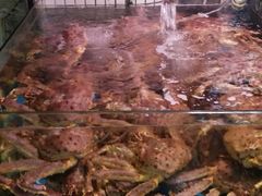 -老字号蛇口德记烧腊饭店·海鲜加工