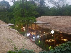 -二荆条·蜀鲜汇城市森林火锅