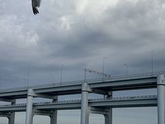-星海湾跨海大桥