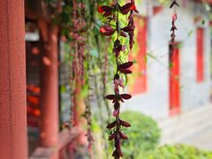 -华南国家植物园-售票处