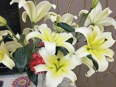 -攀枝花公园