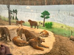 -栾川竹海野生动物园