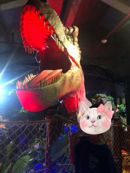 -恐龙探索乐园(磁器口店)