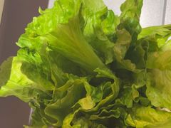-八合里潮汕鲜牛肉火锅(吉大店)