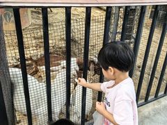 -石家庄市动物园