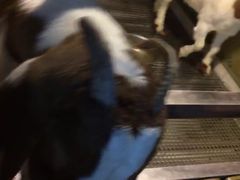 -上海大自然野生昆虫馆(东方明珠·爬宠昆虫探索中心)