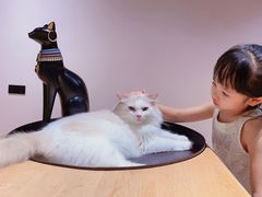 -瞄一喵猫咖(格力海岸店)