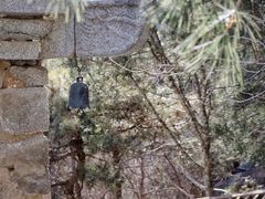 -白水寺森林公园