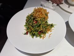 巧拌豆苗-四季民福烤鸭店(王府井灯市口店)