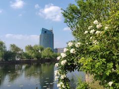 -无锡蠡湖国家湿地公园-蠡园