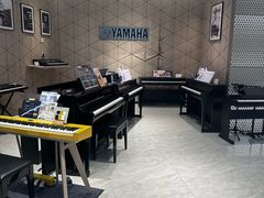 -知音艺术教育培训·钢琴培训·音乐培训(河西金鹰世界校区)