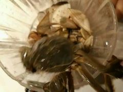 -星伦多自助料理·涮烤一体(嘉兴八佰伴店)