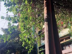 -黄桷坪涂鸦艺术街