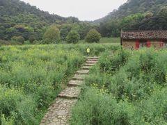 -广州市石门国家森林公园