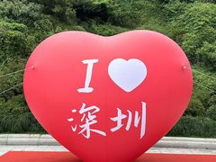 -金光华广场
