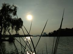 -飞来湖湿地公园