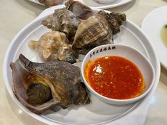 白灼海螺-长平老姿娘夜粥(平东一街店)