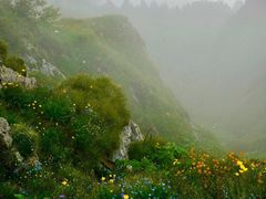 -灵山