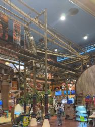 -卡通尼·Safari非洲探索乐园·生日会(金桥国际商业广场店)