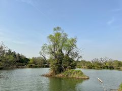 -西溪国家湿地公园