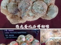-中国西峡恐龙遗迹园