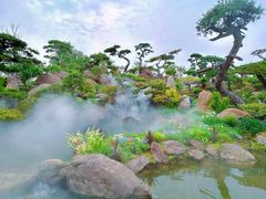 -罗红摄影艺术馆