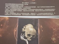 -鱼塘剧本推理桌游吧