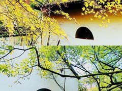 -虎跑公园