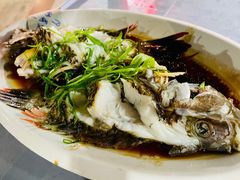 石斑鱼清蒸-八方海味餐厅