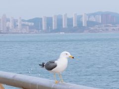 -大连金石滩国家旅游度假区