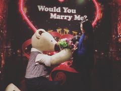 -济州岛泰迪熊博物馆