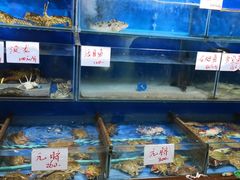 -张树军海鲜(王府壹号店)